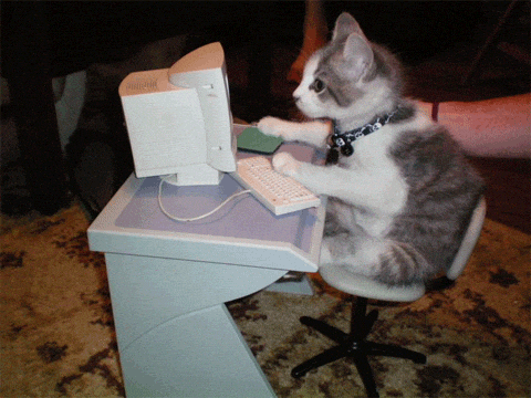 gatito 2